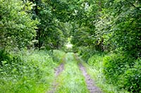 Es gibt immer einen Weg ...